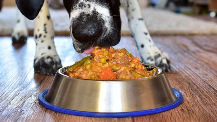 Anjing makanan nutrisi berkualitas